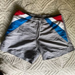 Chubbies Swim Trunks
